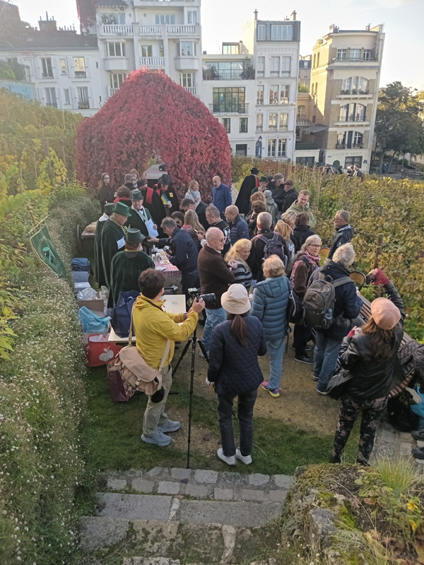 Alicoque servie butte Montmartre à Paris par la confrérie des chevaliers de l'olivier de Nyons